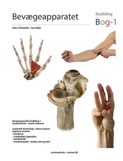 Bevægeapparatet - Bog1