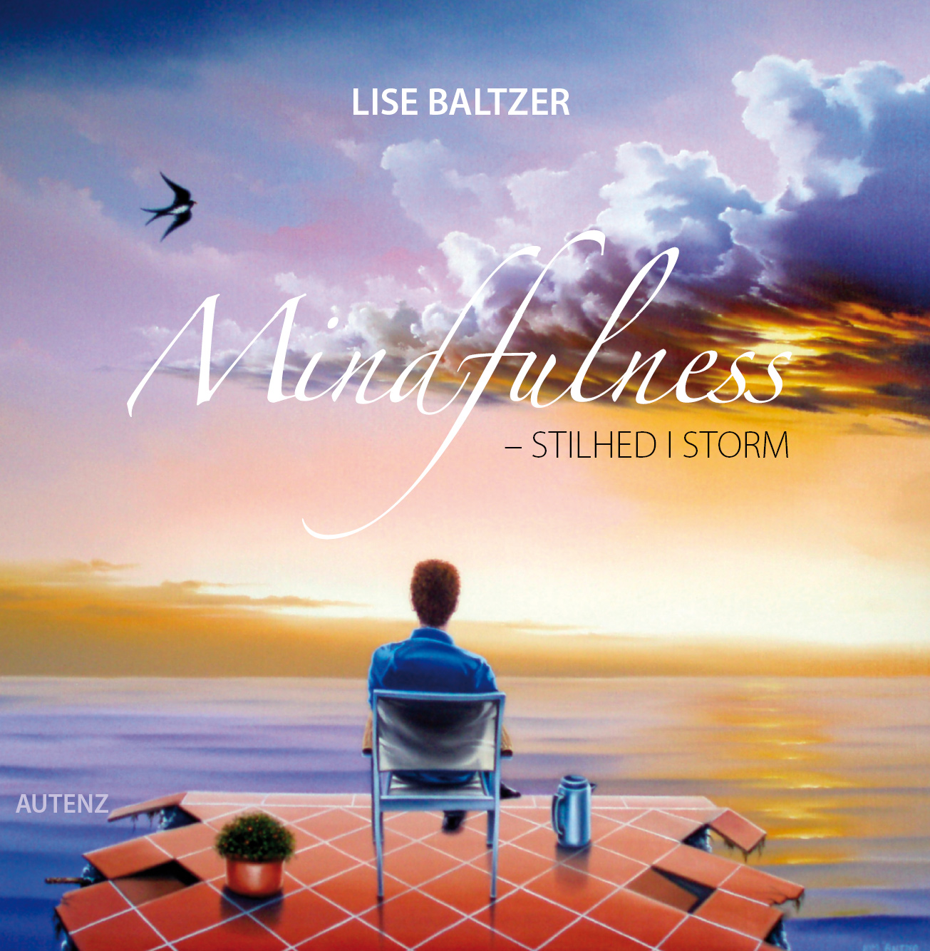 Mindfulness - stilhed i storm - E-bog
