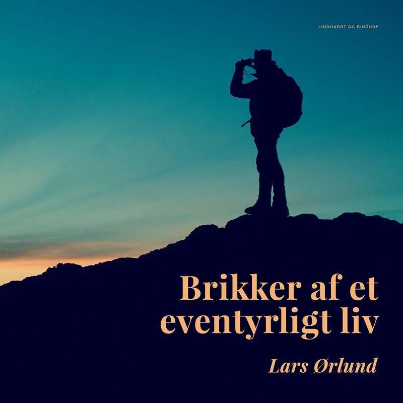 Brikker af et eventyrligt liv