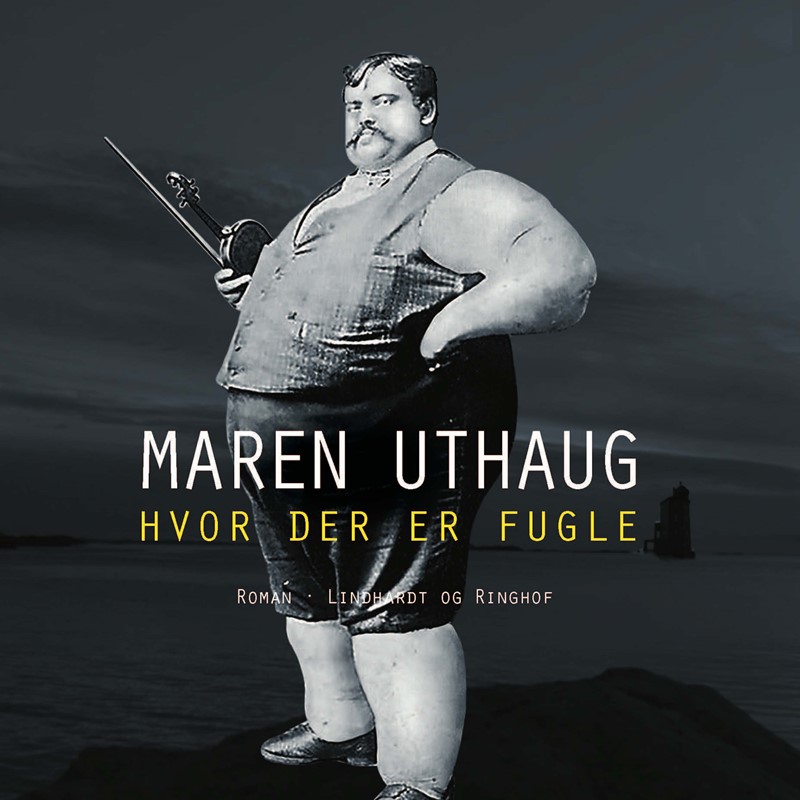 Hvor der er fugle