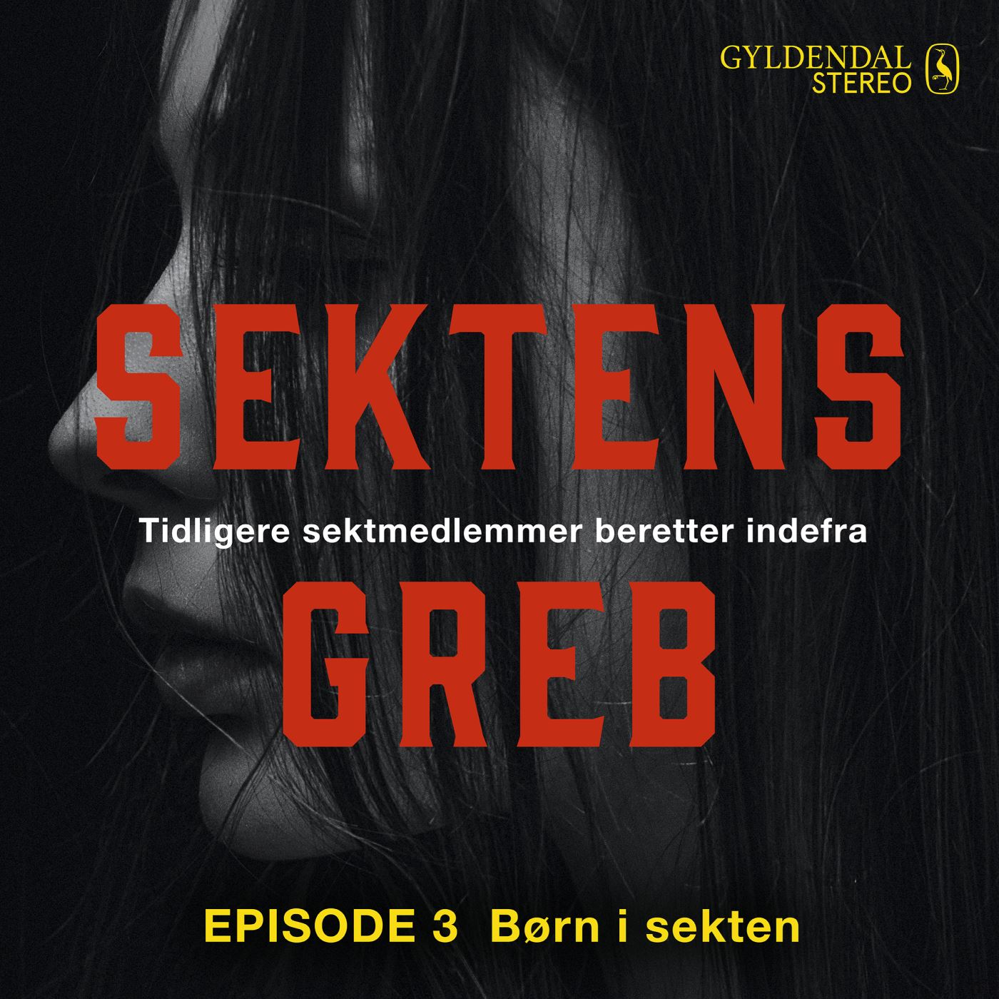 Sektens greb: Børn i sekten EP#3 - E-lydbog